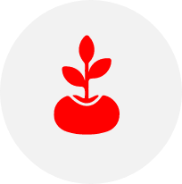 A simple red icon of a sprouting plant with three leaves growing from a rounded base, set against a light gray circular background.