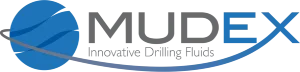 The image shows the BlueEx logo, featuring a blue swoosh design resembling a globe on the left and the text "BlueEX" in gray and blue letters to the right.